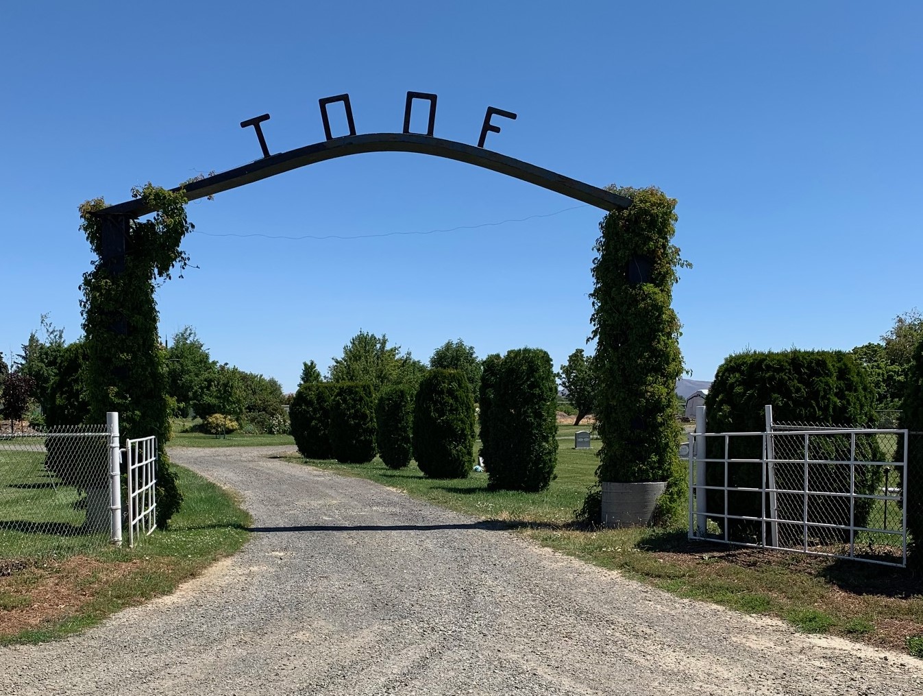 An Update on what's Happening at the Brick Road/IOOF Cemetery